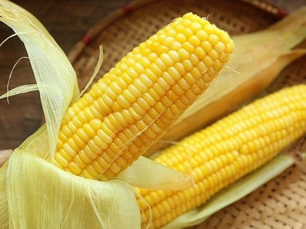 Bắt gặp thấy ăn ngô cho thấy tín hiệu gì thú vị