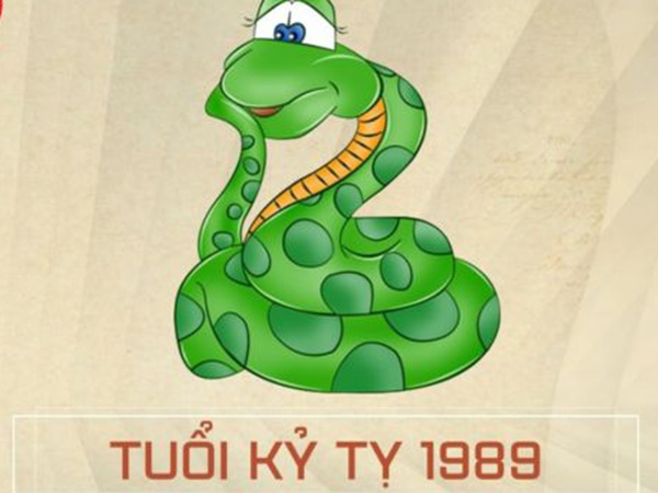 Mệnh Mộc 1989 hợp số nào đồng hành phát triển lâu dài