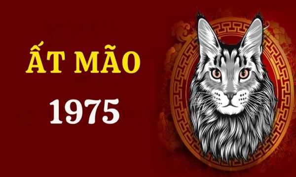 Con số đẹp tuổi Ất Mão ngày 2/7/2025 mang tài vượng