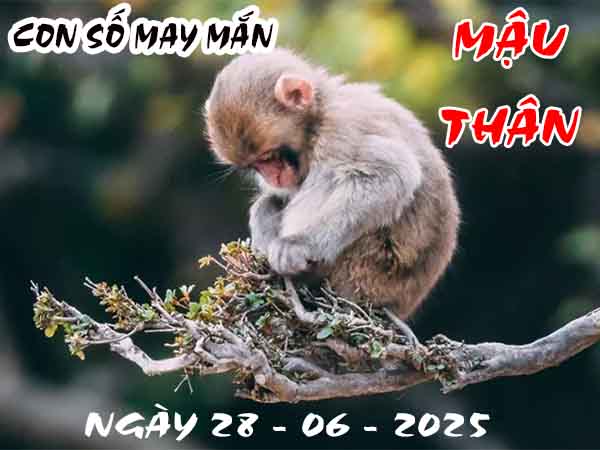 Con số may mắn tuổi Mậu Thân ngày 28/6/2025 thứ 7 hôm nay