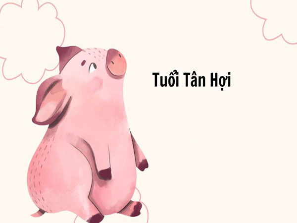 Tổng quan về người tuổi Tân Hợi ngày 1/8/2025 thứ 6 hôm nay
