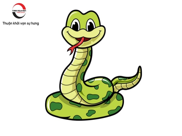 Luận giải số đẹp tuổi TỴ 28/8/2025 mang lộc cho gia chủ