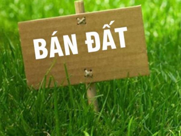 Nằm mơ thấy bán đất có phải điềm báo về tài chính?