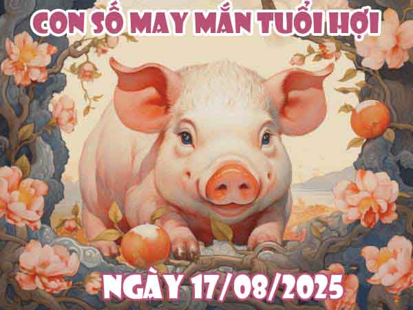 Cặp số đẹp may mắn tuổi Hợi ngày 17/8/2025 chủ nhật hôm nay