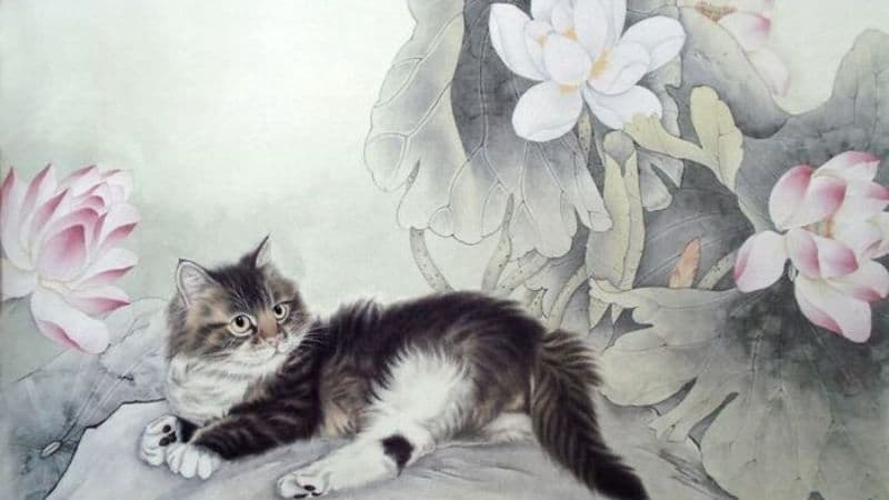 Giải mã con số may mắn tuổi Mão 19/9/2025 hôm nay