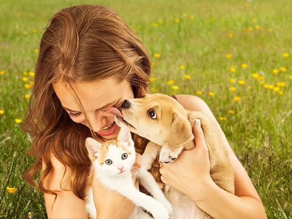 Nằm mơ thấy chó quấn quýt mình điềm báo gì?
