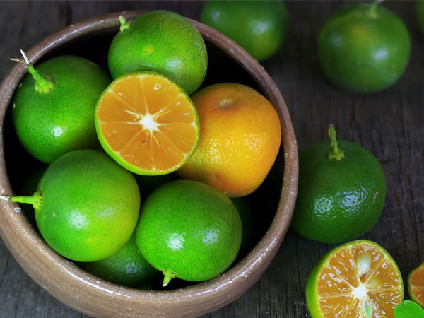 Giải mã chi tiết nằm mơ thấy quả quất có ý nghĩa gì?