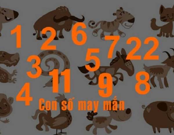 Tổng quan năng lượng ngày 4 tháng 2 thứ Tư